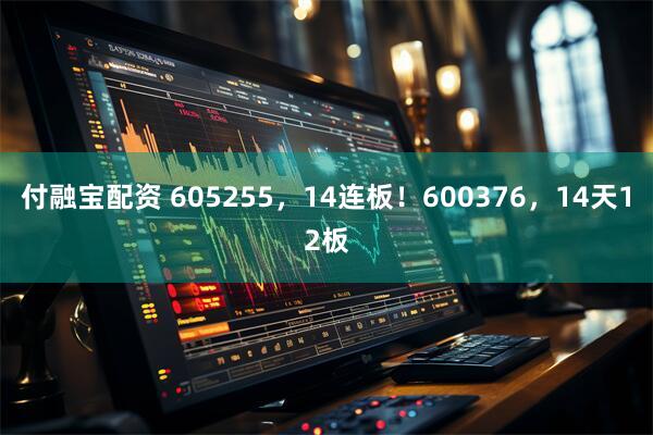 付融宝配资 605255，14连板！600376，14天12板