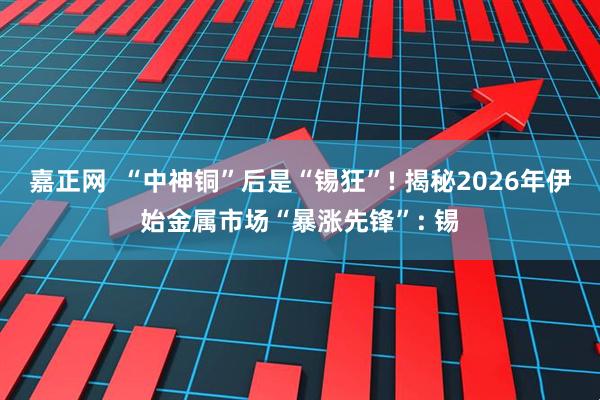 嘉正网  “中神铜”后是“锡狂”! 揭秘2026年伊始金属市场“暴涨先锋”: 锡